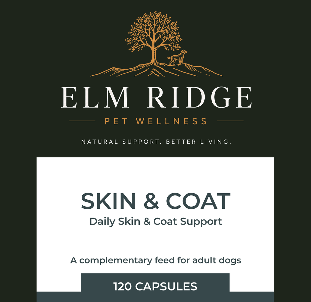 Skin & Coat – Omega Support for Dogs