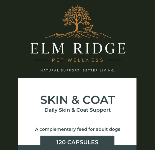 Skin & Coat – Omega Support for Dogs